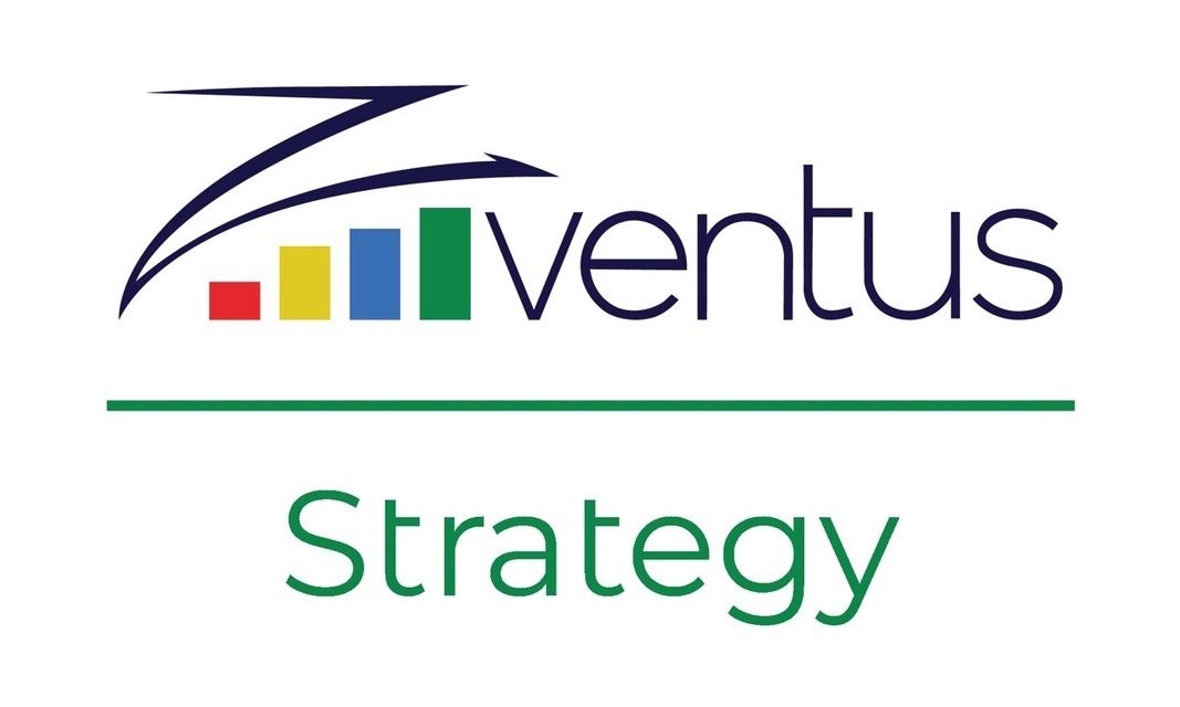 Zventus Credit Risk Management Systems