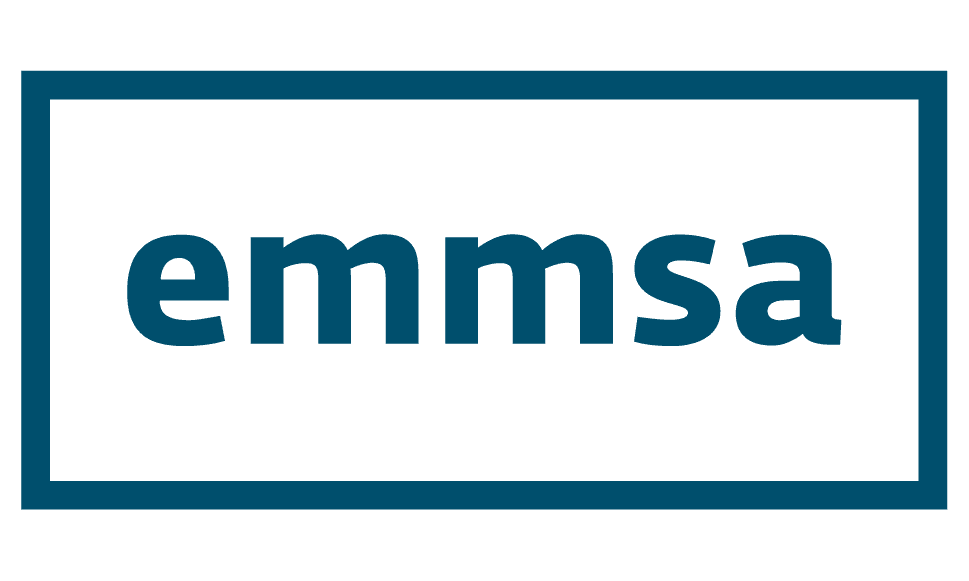 EMMSA IT Services