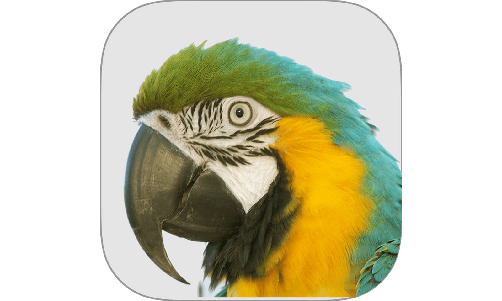 Nest Innovative Solutions