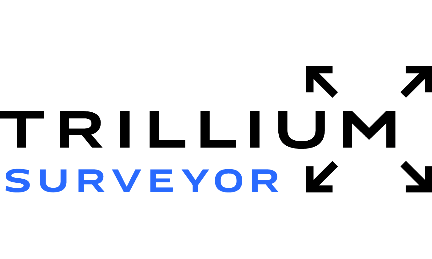 Surveyor